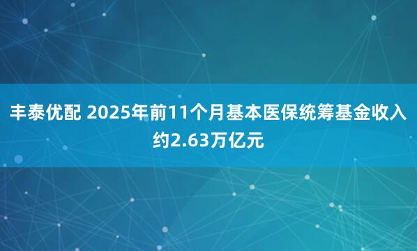 丰泰优配 2025年前11个月基本医保统筹基金收入约2.63万亿元