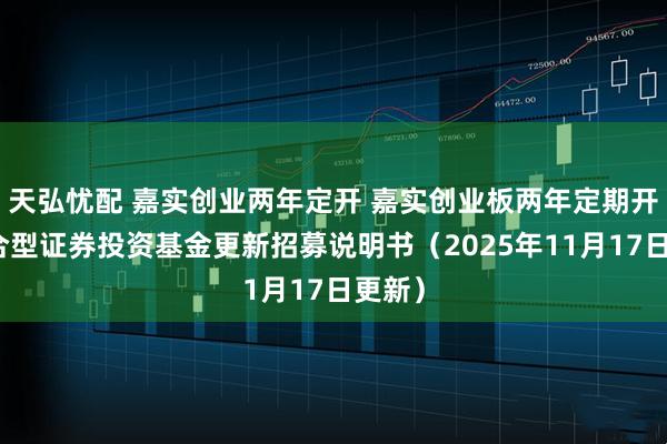 天弘忧配 嘉实创业两年定开 嘉实创业板两年定期开放混合型证券投资基金更新招募说明书（2025年11月17日更新）